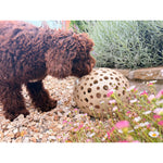 Load image into Gallery viewer, GARDEN LIGHT
