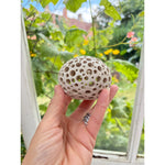 Load image into Gallery viewer, Paper Weight
